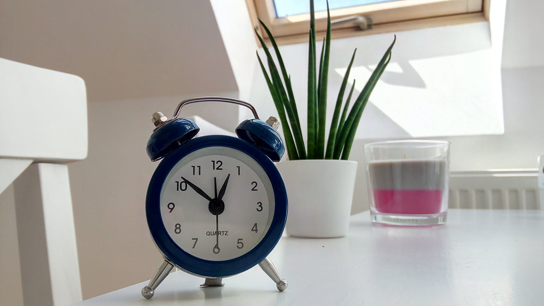 round blue alarm clock with bell on white table near snake plant